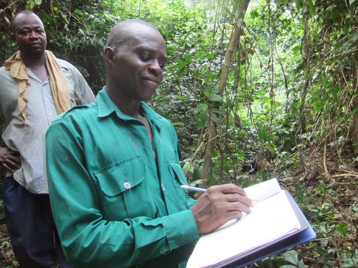 Ghana Forestry Commission Technician 