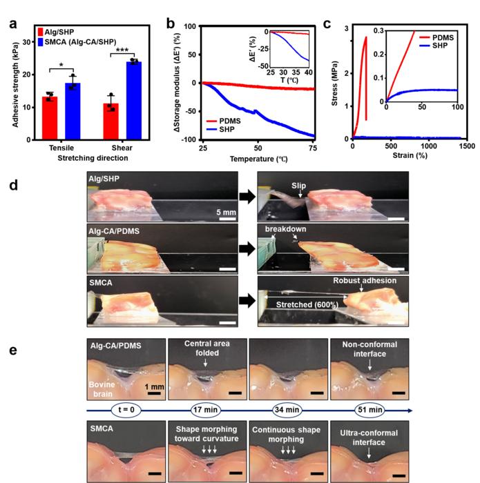 Figure 2. Brain interfacing functionalities of SMCA soft patches