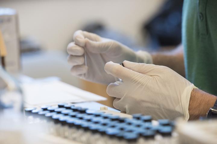 Engineered Gut Bacteria