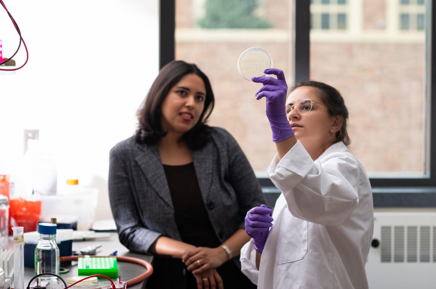 Overcoming Antimicrobial Resistance, FAST