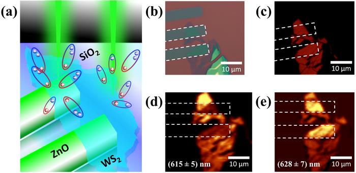 Selective Enriching of Trionic Emission in a WS2-ZnO Hybrid through Type-II Band Alignment