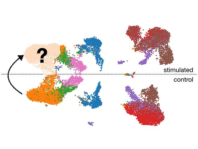 Cell Perturbation