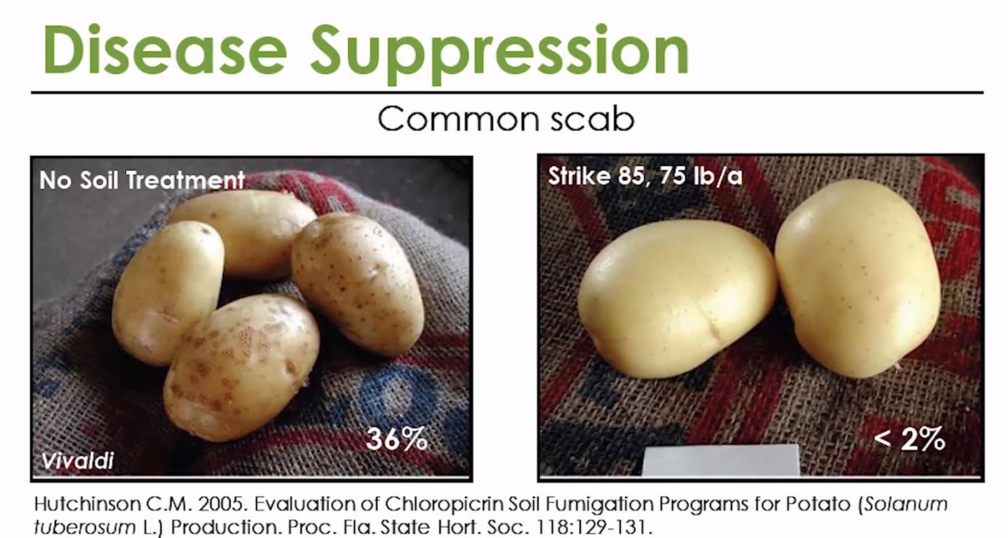 Disease Suppression: Common Scab