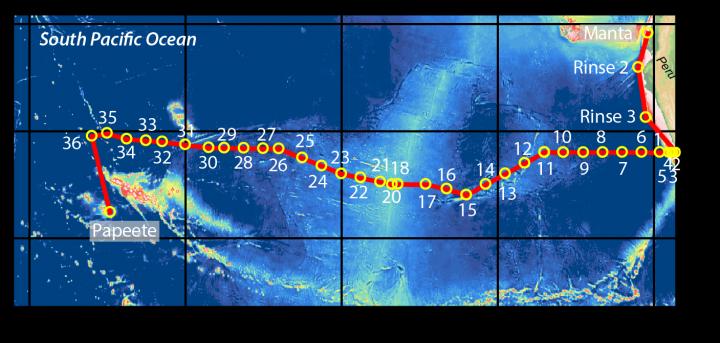 Track of Hydrothermal Fluids