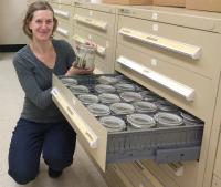 Hannah Wood in Smithsonian Spider Collections