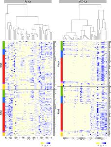 Heatmap showing the correlation matrix between ILs and volatile compounds, and ILs dendrograms for both PS ILs and VED ILs populations.