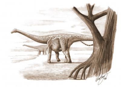 Magyarosaurus