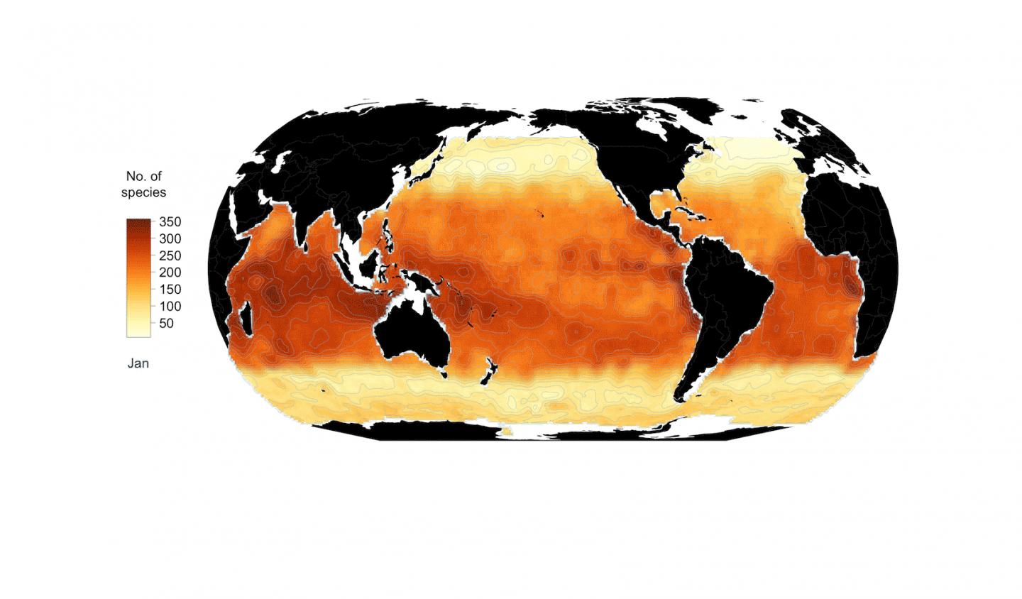 Global Pattern of Phytoplankton Diversity Driven by Temperature, Environmental Variability (1 of 1)