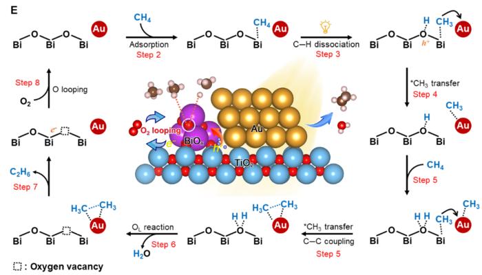 Highly efficient, selective, and stable photocatalytic methane coupling to ethane enabled by lattice oxygen looping