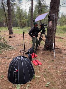 Camera crew prepares for filming bark beetle attacks on trees in Tahoe National Forest.