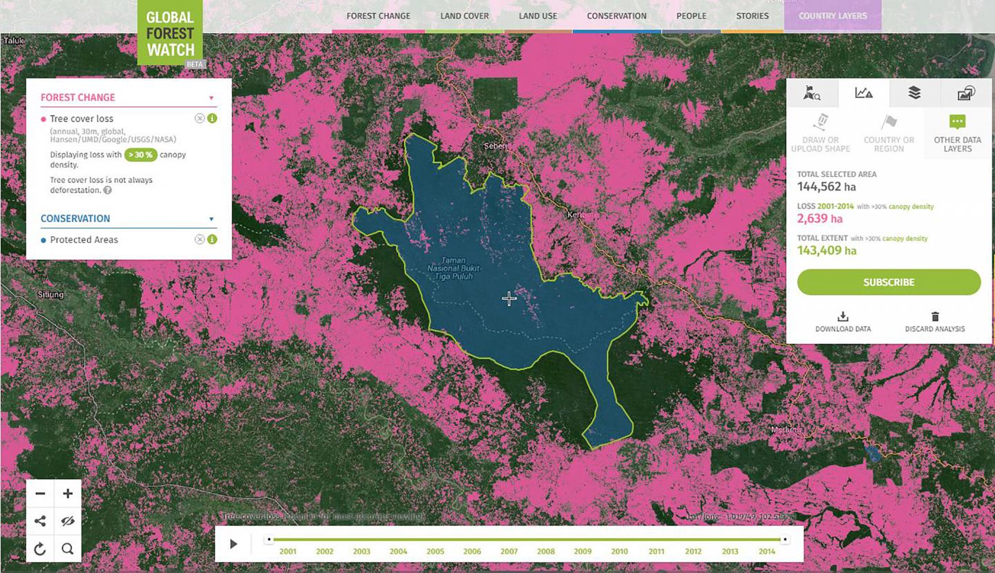 Satellite Imaging Shows Enough Forest Habitat Left to Double Tiger Population by 2022 (3 of 4)