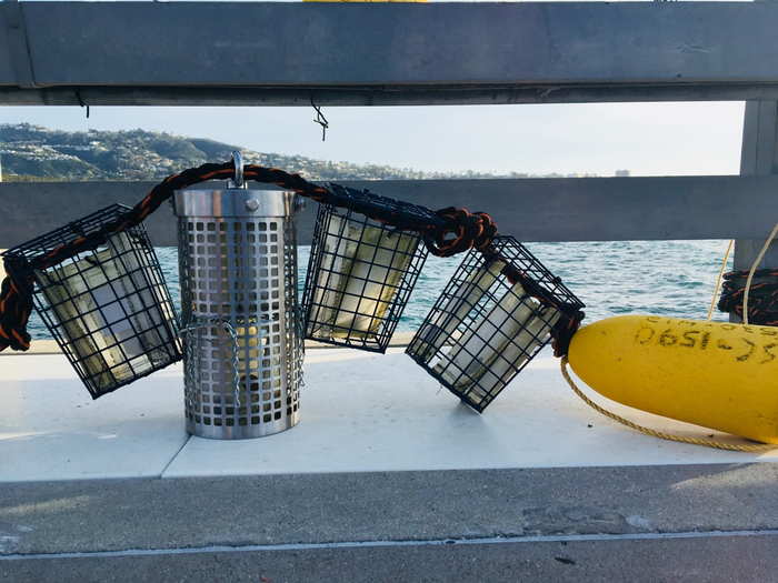 Cage design for sea-surface experiment