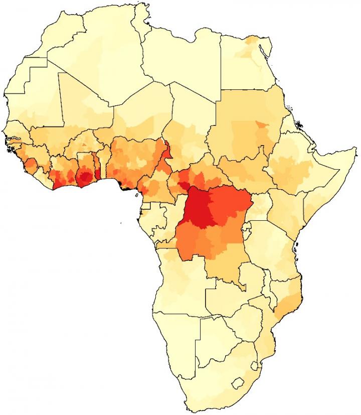 New model links yellow fever in Africa to cli EurekAlert!