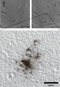 Before and After Images Reveal New Impact Sites on Mars