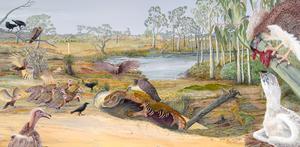 Fossil birds of prey