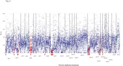 Nonrandom distribution of sequence divergence