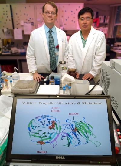 Drs. Lawrence C. Layman, Hyung-Goo Kim, Medical College of Georgia