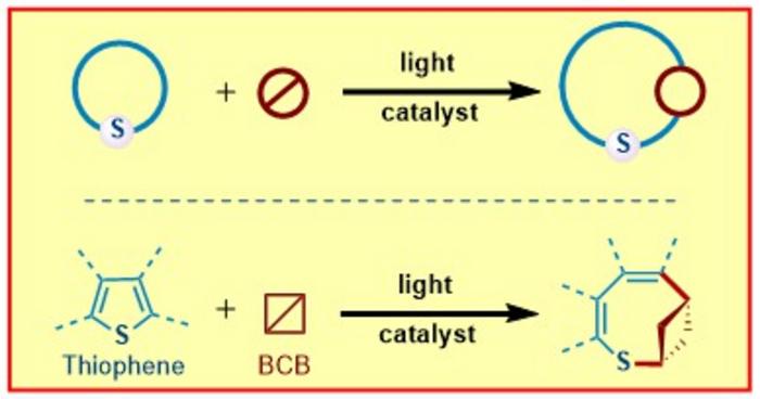 The chemical conversion