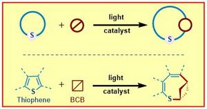 The chemical conversion