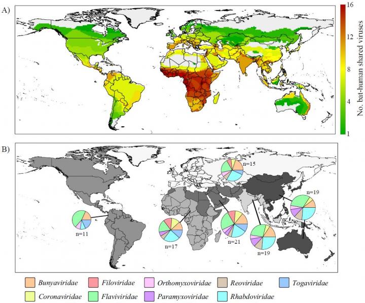 Distributions of Bat-Human Virus Sharing