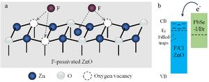 (a) Schematic diagram of F-passivated ZnO. (b) Schematic band alignment diagram of F/Cl-passivated ZnO.