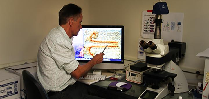 Fruit Fly Studies Finds Missing Genes that Could Be Linked to Autism