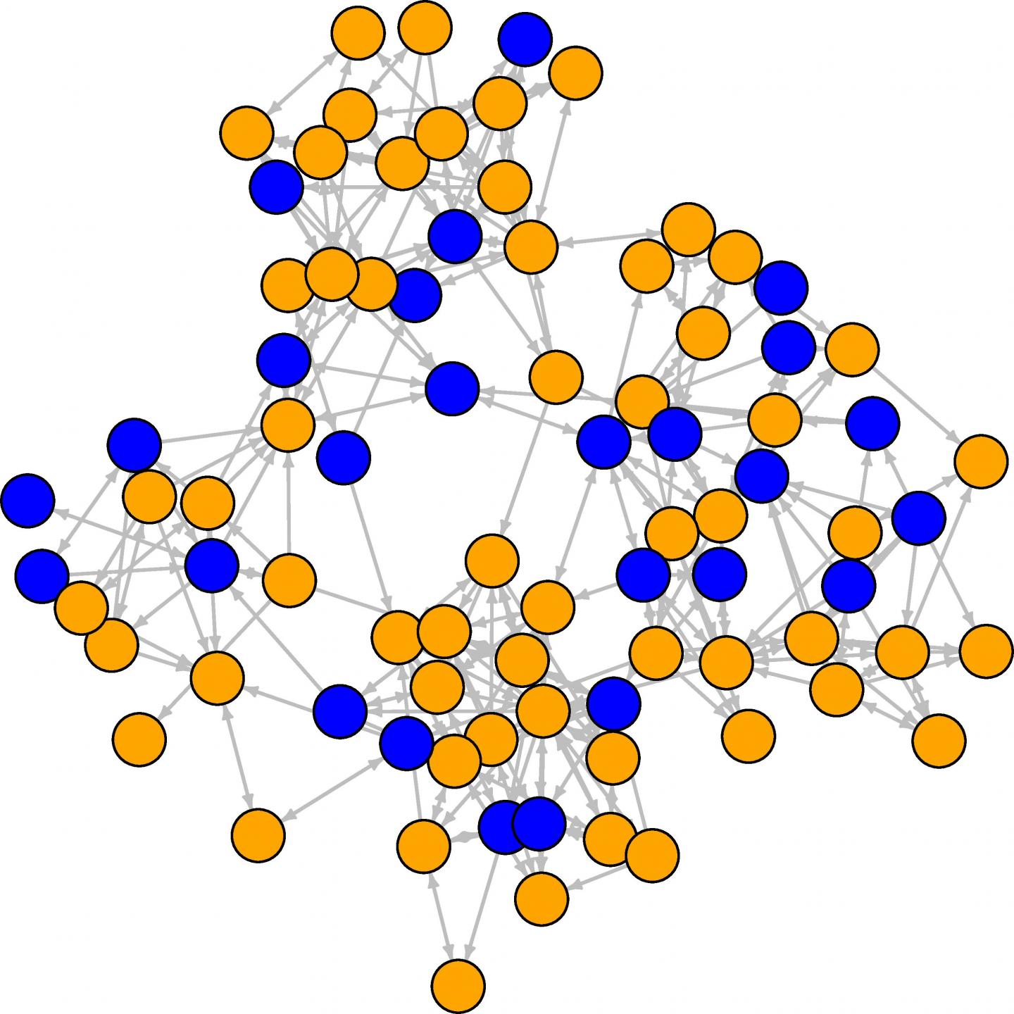 Student friendship network at the first wave