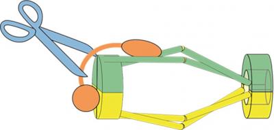 Cohesin Ring Model Diagram
