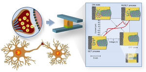 memristive redox-active devices