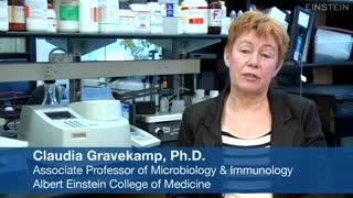 Interview with Dr. Claudia Gravekamp