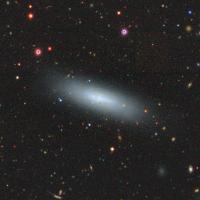 An Example of the Baryonic-Dominated Dwarf Galaxies-UGC7920