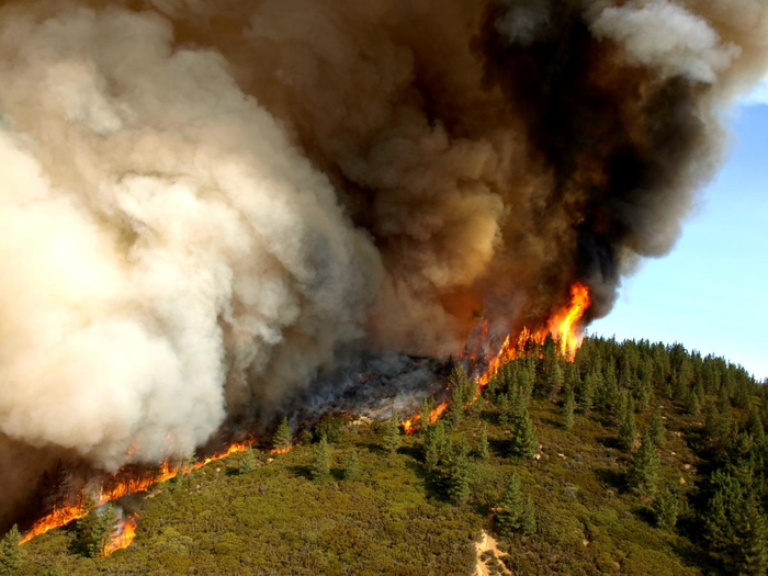 Active flame front of the Zaca Fire