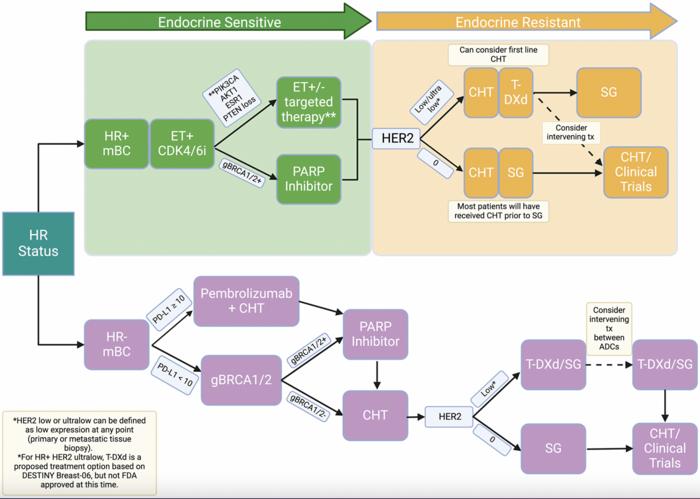 Evolving concepts in HER2-low breast cancer: Genomic insights, definitions, and treatment paradigms