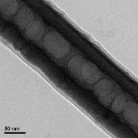 Nanotube as a Drug Delivery System