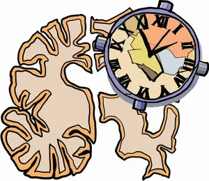 Disturbed neural clock & Alzheimer’s disease