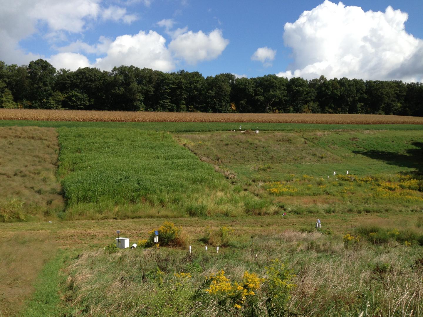 CRP Plots