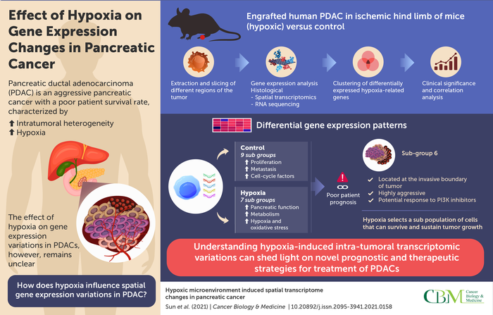 Pancreatic cancer