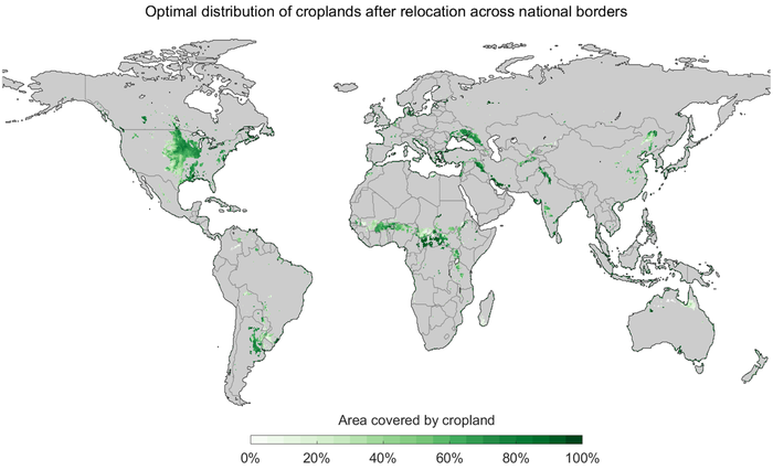 Optimal global distribution of croplands