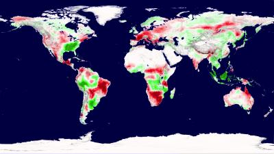 Earth's Plant Productivity Declines