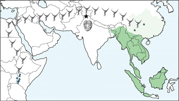 Map of gibbon migration