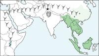 Map of gibbon migration