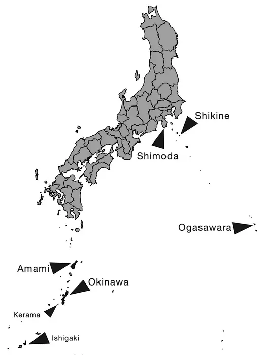 本研究において使用したイソギンチャクの採集海域を示した地図