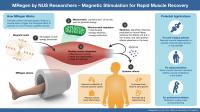 Novel NUS Medical Device Harnesses Magnetic Field to Speed up Muscle Recovery
