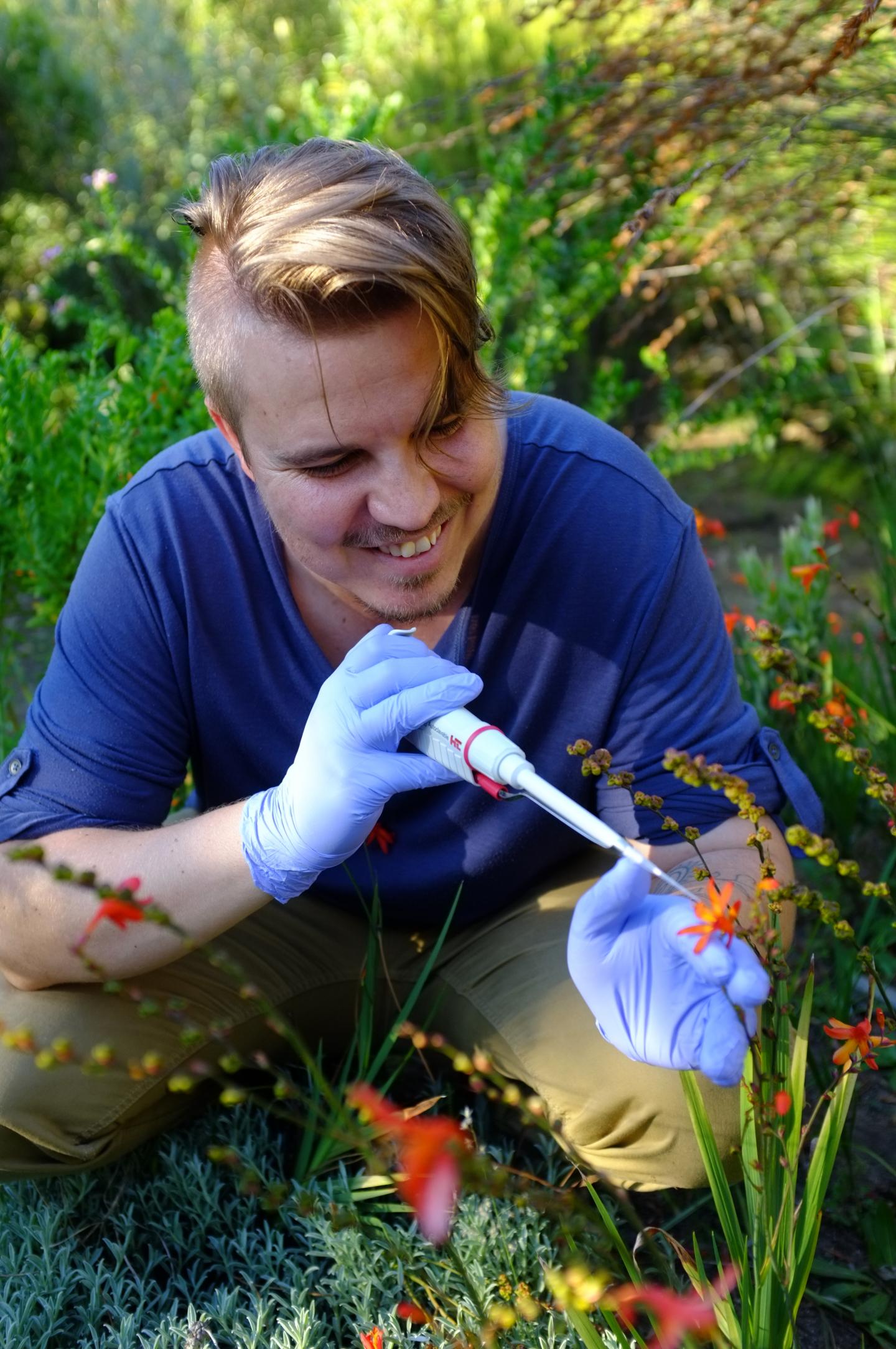Corneile Minnaar, Stellenbosch University