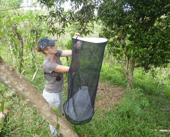 Collecting data on Madagascar