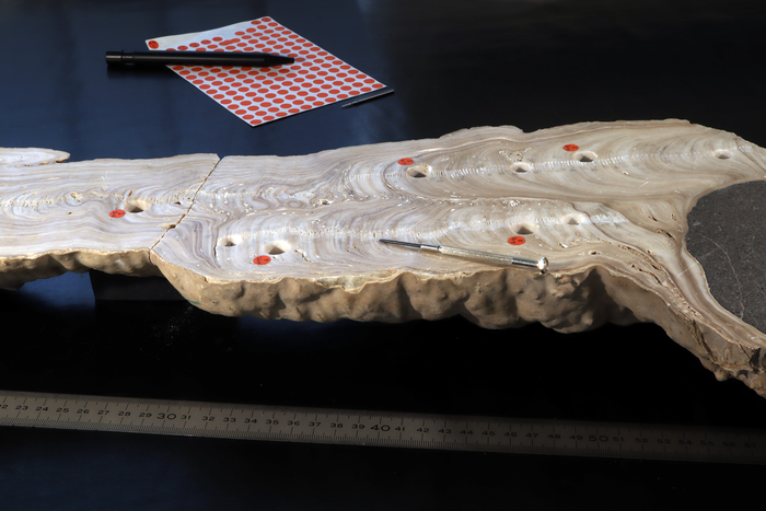 Stalagmite_Hoti_Cave_2