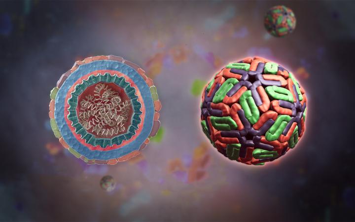 3D-image of RNA Virus
