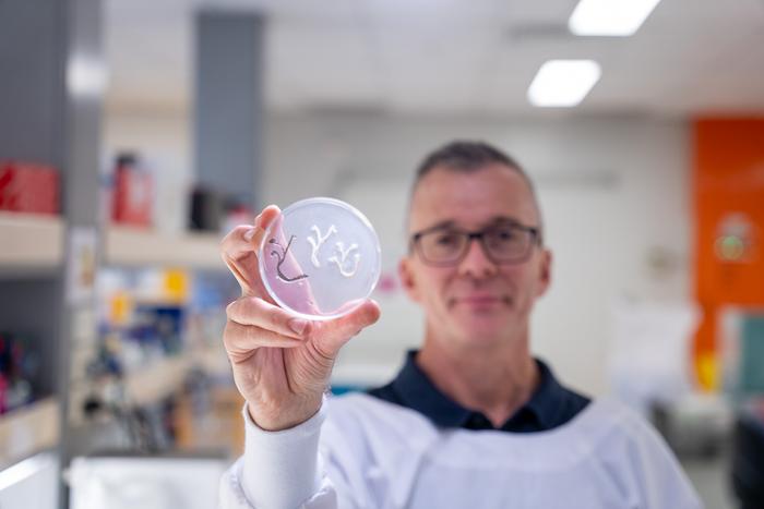 Professor James St John holding a nerve bridge sample