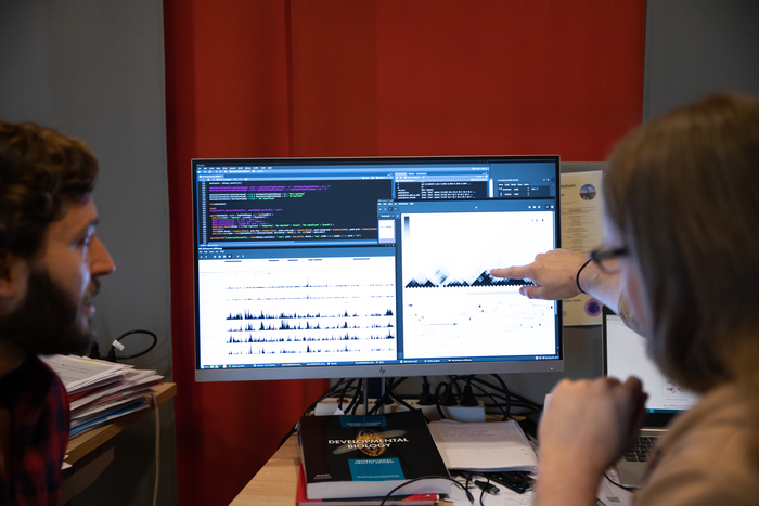 Claudio Cantú and Simon Söderholm, Linköping University