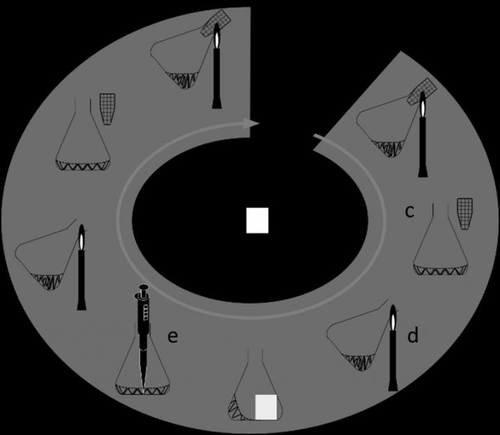 A Shake-Up in Cell Culturing: Flame Sterilization May Affect the Culture